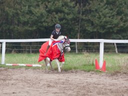 IMG_8033_web